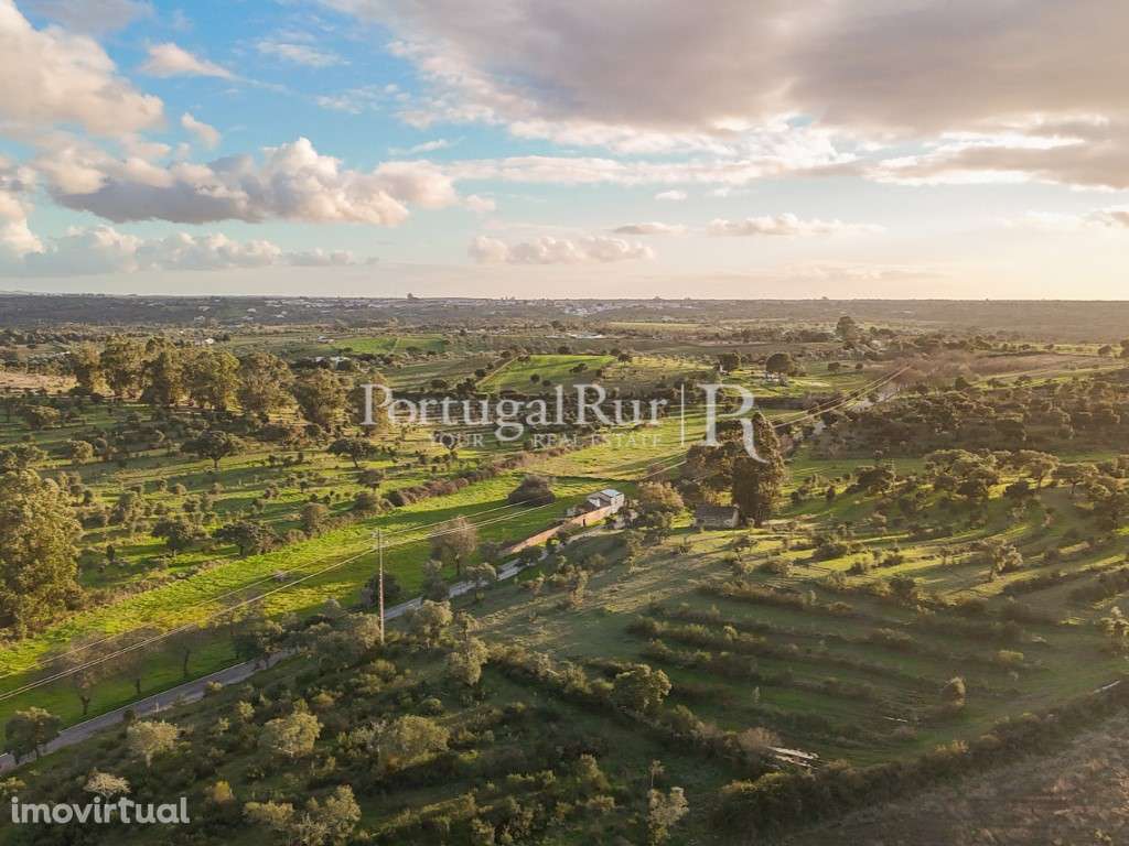 Herdade de 27 Hectares em Nisa - Grande imagem: 4/31