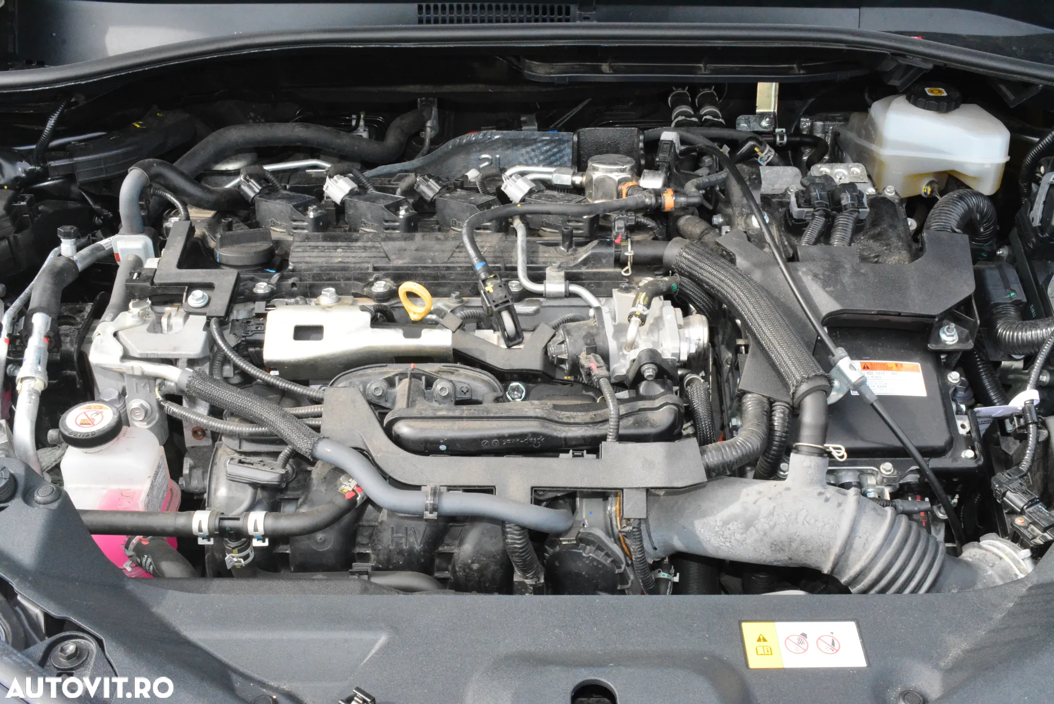 Toyota C-HR 2.0 Hybrid Team Deutschland - 5