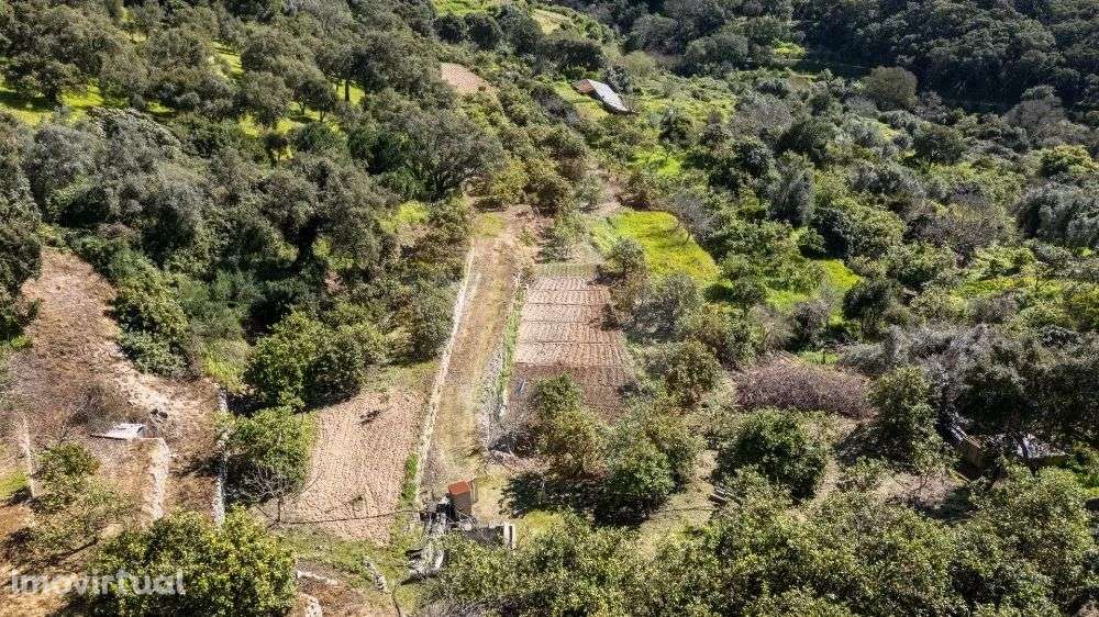 Quinta em Marmelete com grande potencial - Grande imagem: 2/24