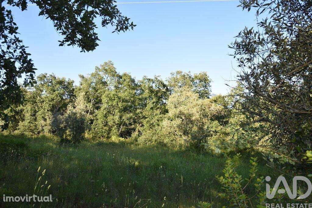 Terreno em Areias e Pias de 1440,00 m2 - Grande imagem: 4/29