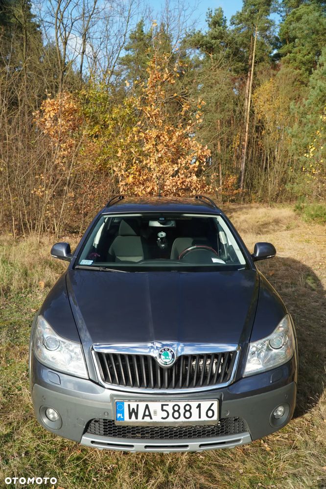 Skoda Octavia Scout 2.0 TDI DPF DSG - 15