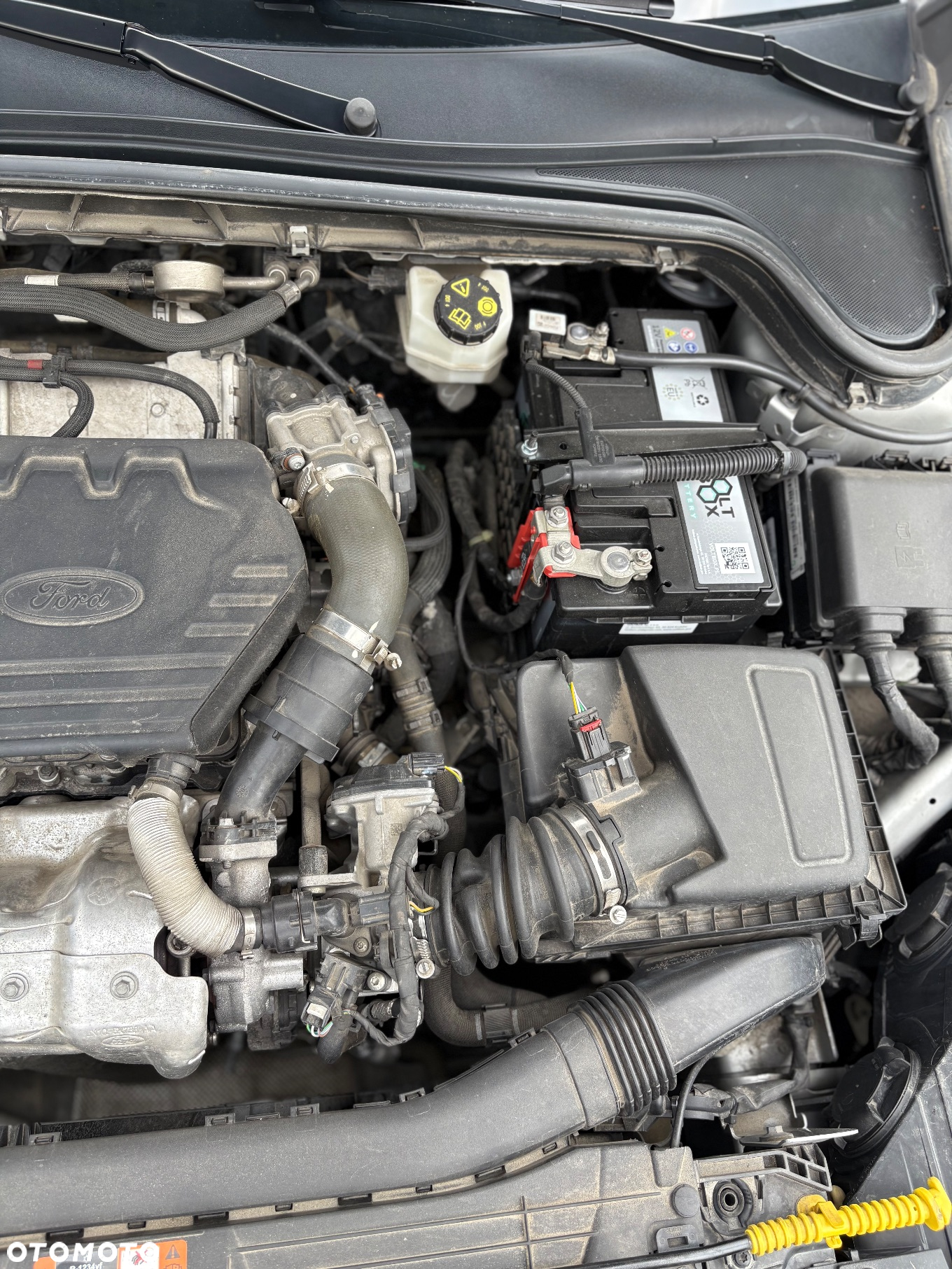 Ford Focus 1.5 EcoBlue Trend - 21
