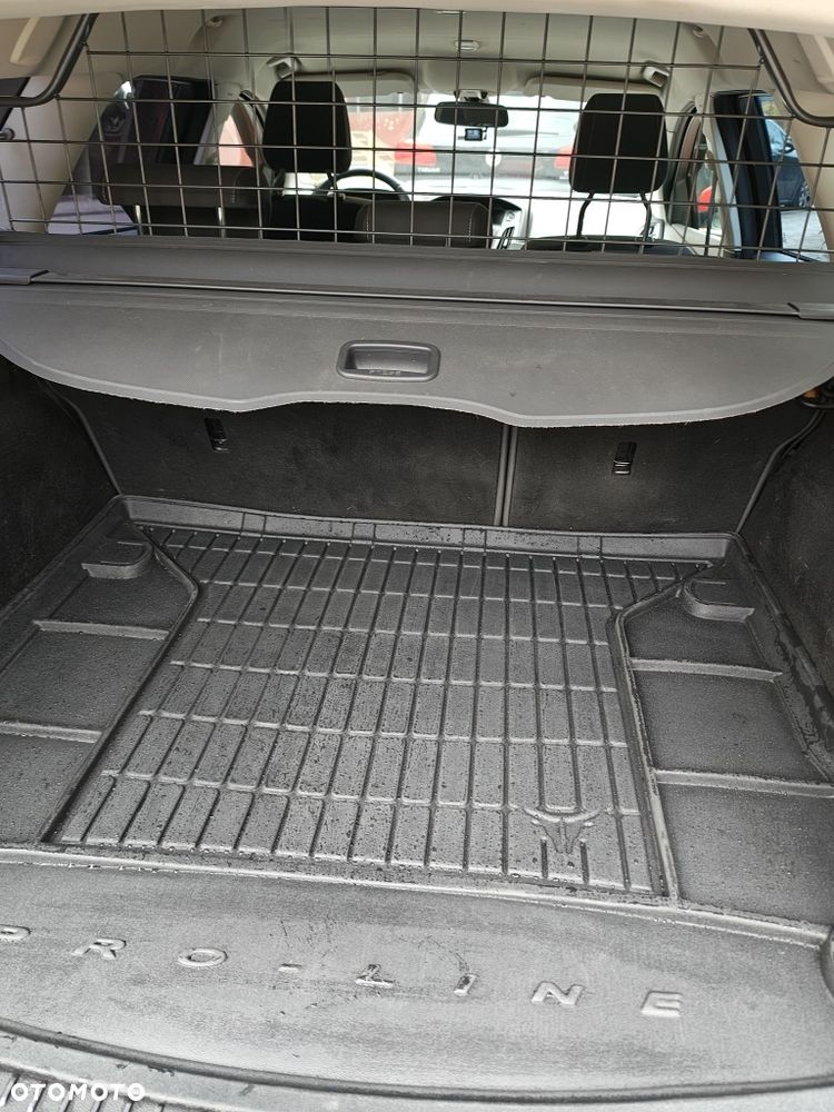 Ford Focus - 7