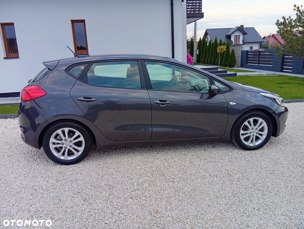 Kia Ceed - 5