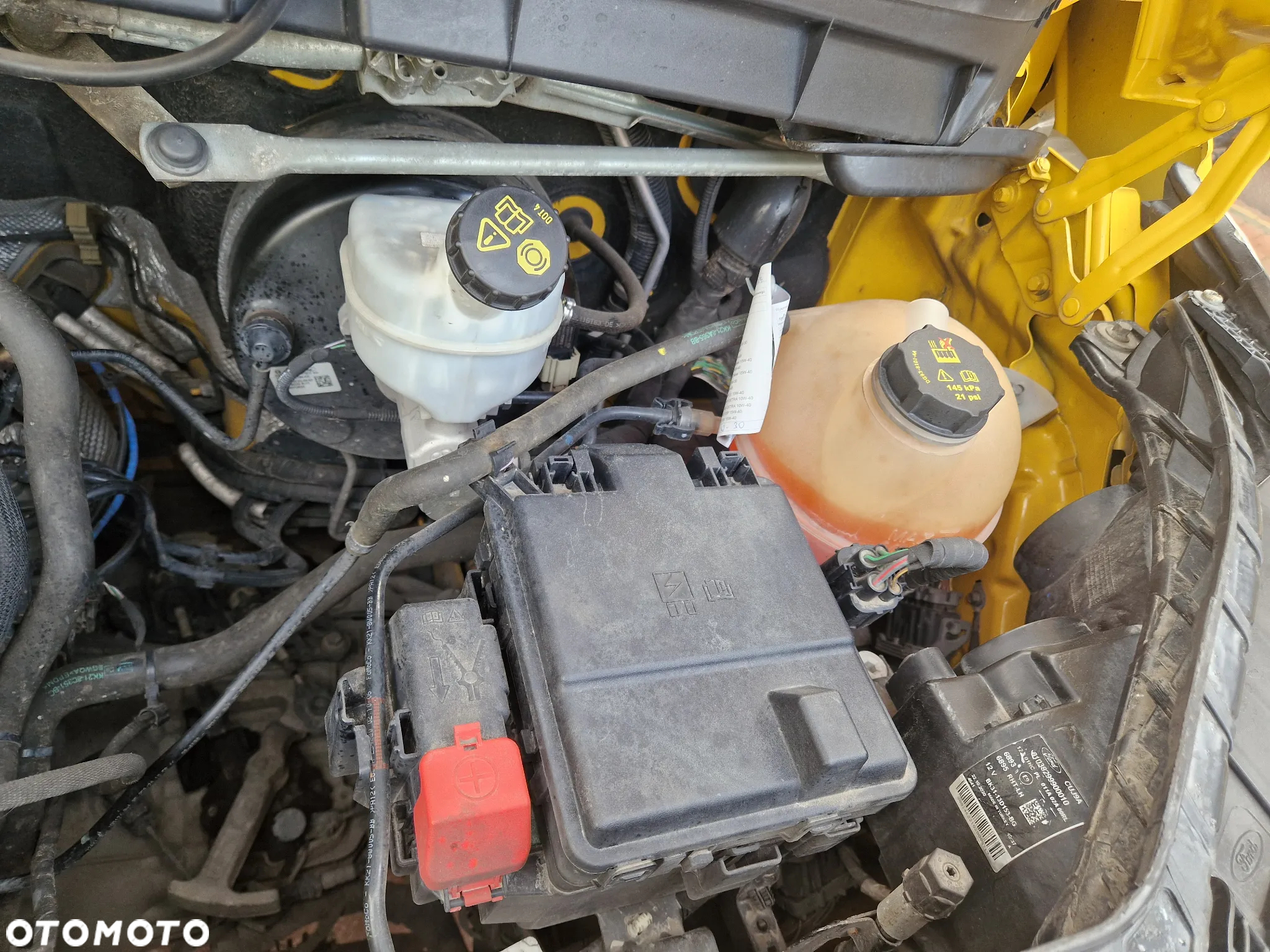 Ford Transit - 19