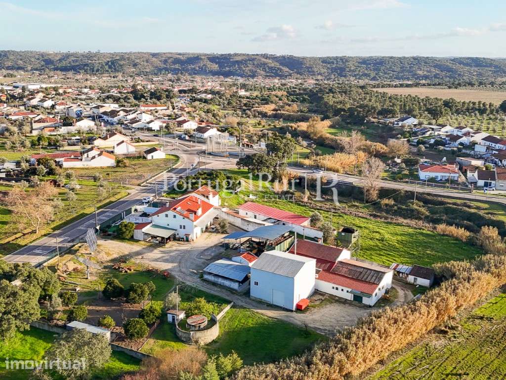 Unidade Industrial de Produção de Azeite & Elevado Potencial Produtivo - Grande imagem: 2/60