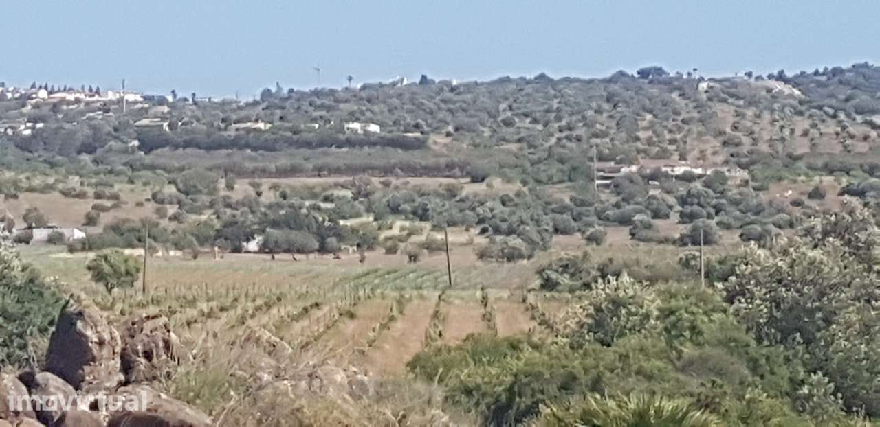 Excelente terreno em Espiche, Luz. - Grande imagem: 2/6