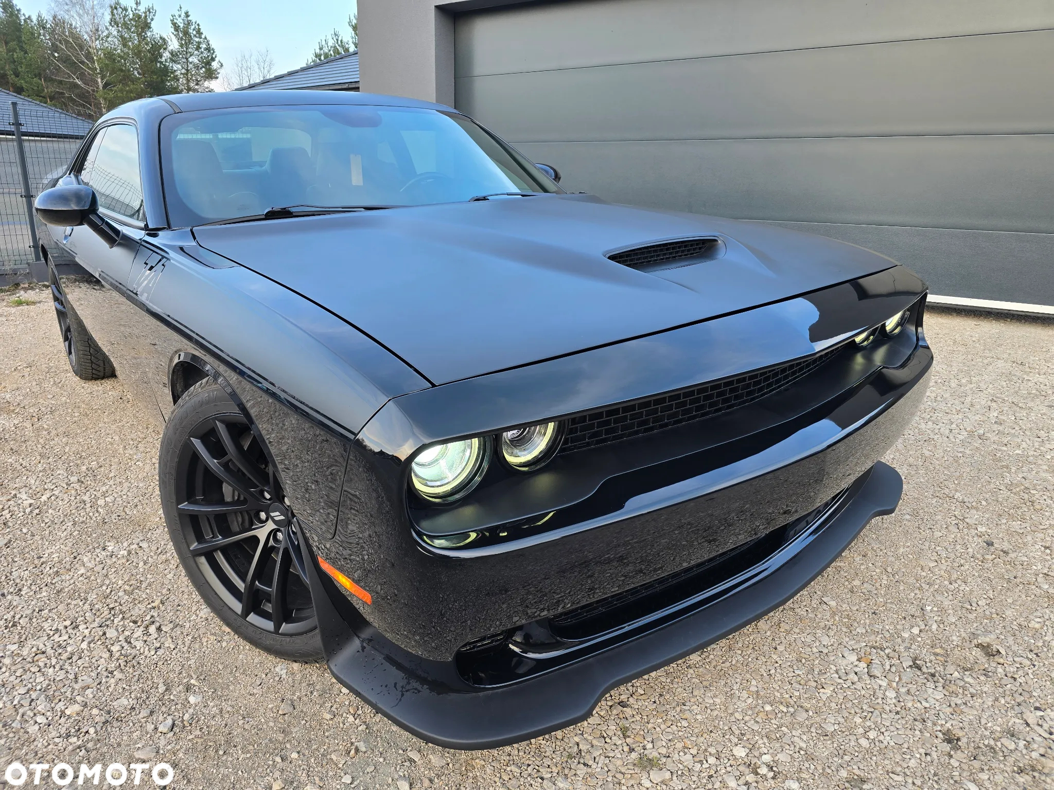 Dodge Challenger 6.4 Scat Pack T/A - 13