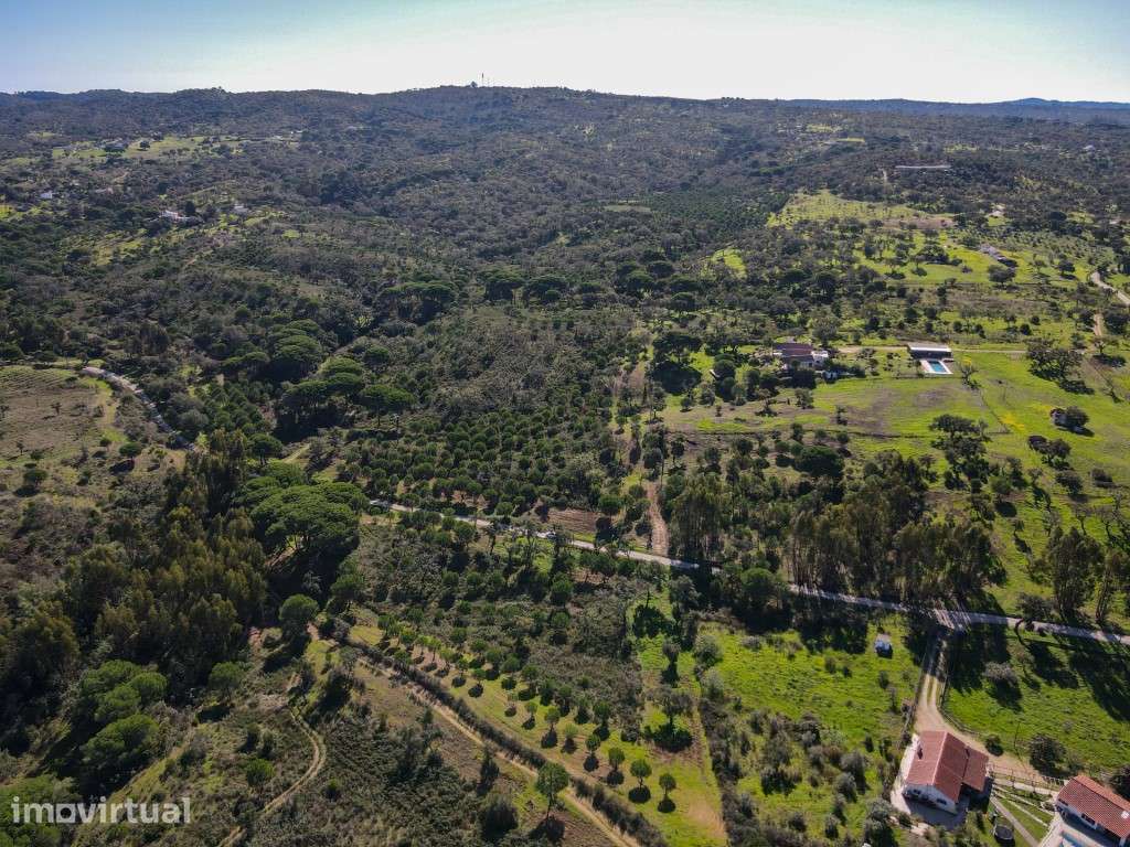 Terreno Exclusivo de 32 Hectares no Carvalhal - Grande imagem: 2/6