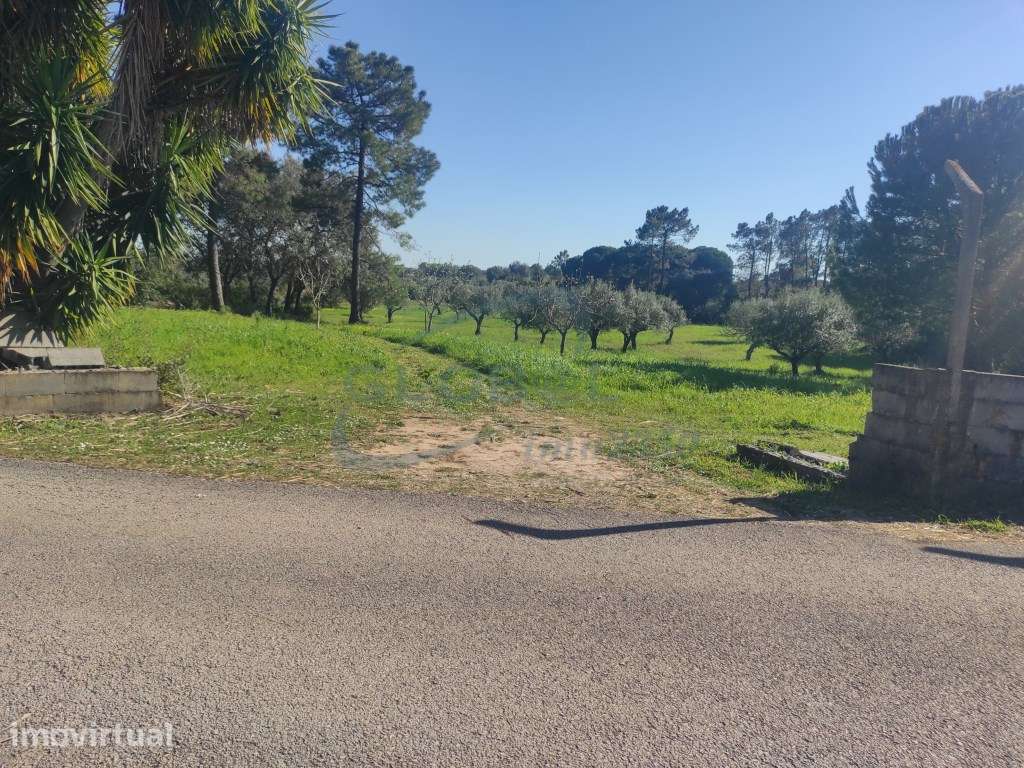 Refúgio natural com 6.985 m², eletricidade, poço e múltiplas possib... - Grande imagem: 3/14