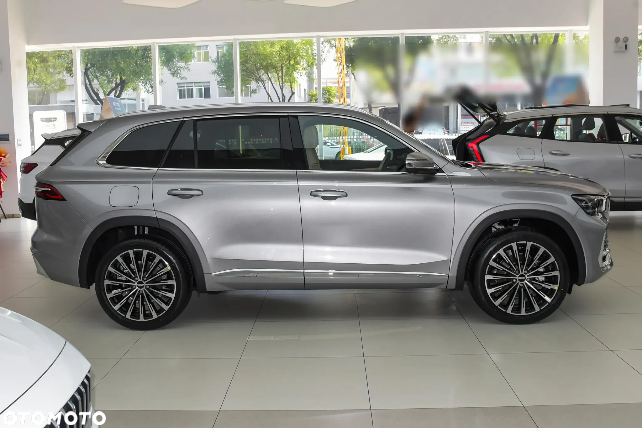 Geely Monjaro - 7