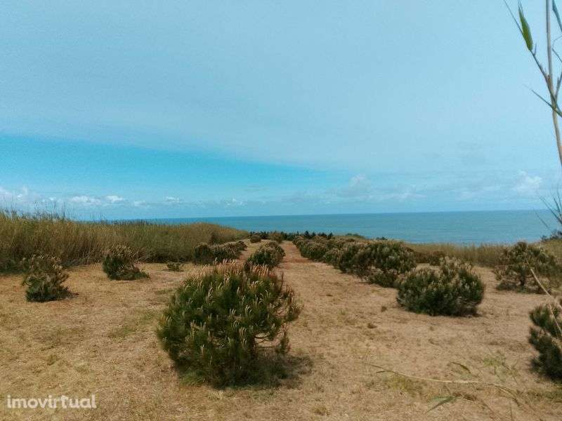 Terreno rústico na Serra do Bouro - Grande imagem: 2/12