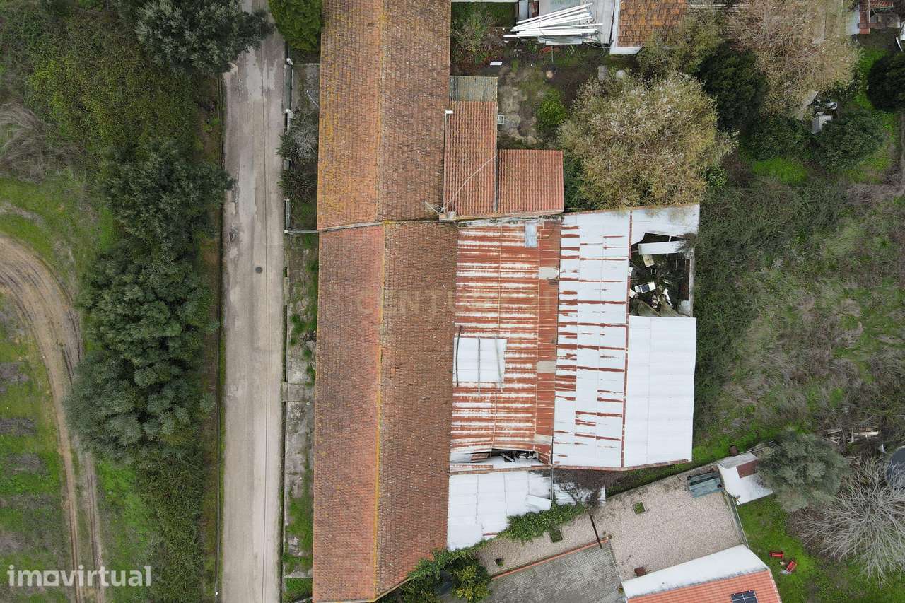 Espaçoso Térreo com Garagem em Localização Privilegiada - Grande imagem: 5/35
