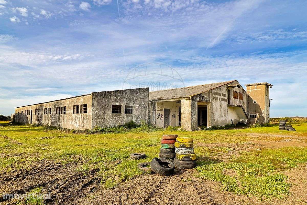 Armazém  para venda - Grande imagem: 5/50