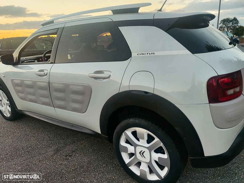Citroën C4 Cactus 1.2 PureTech Rip Curl - 15