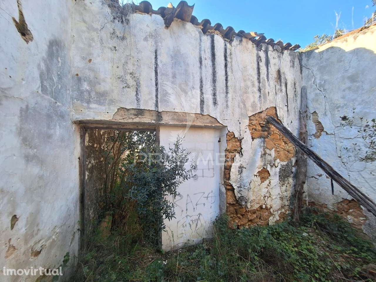 Terreno com ruína - Grande imagem: 4/19