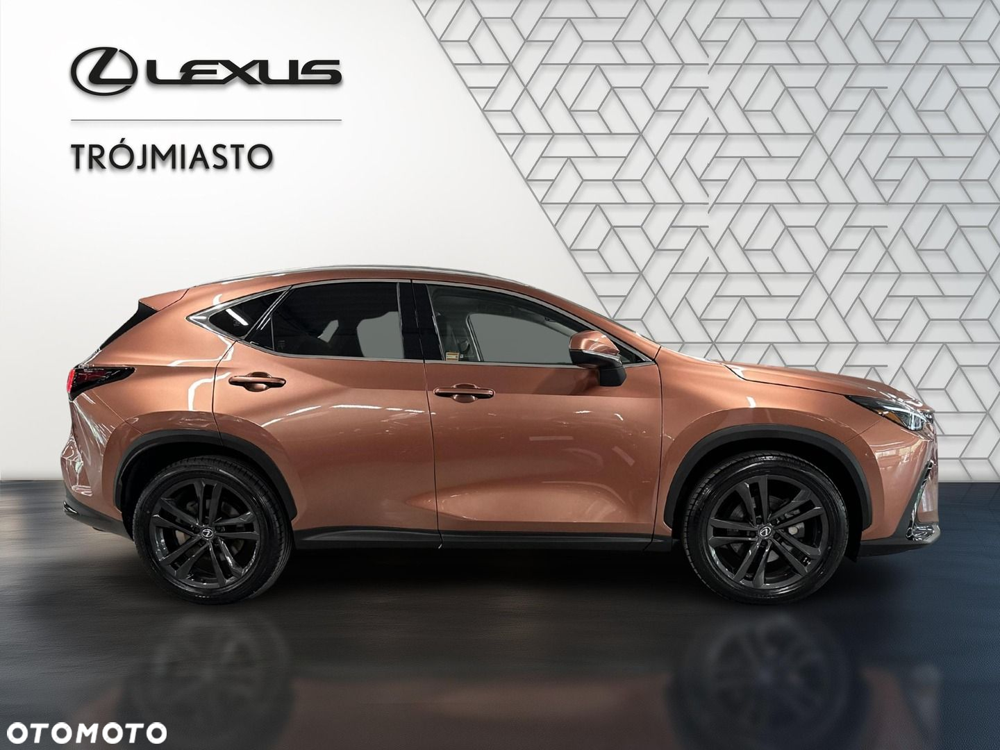 Lexus NX - 7