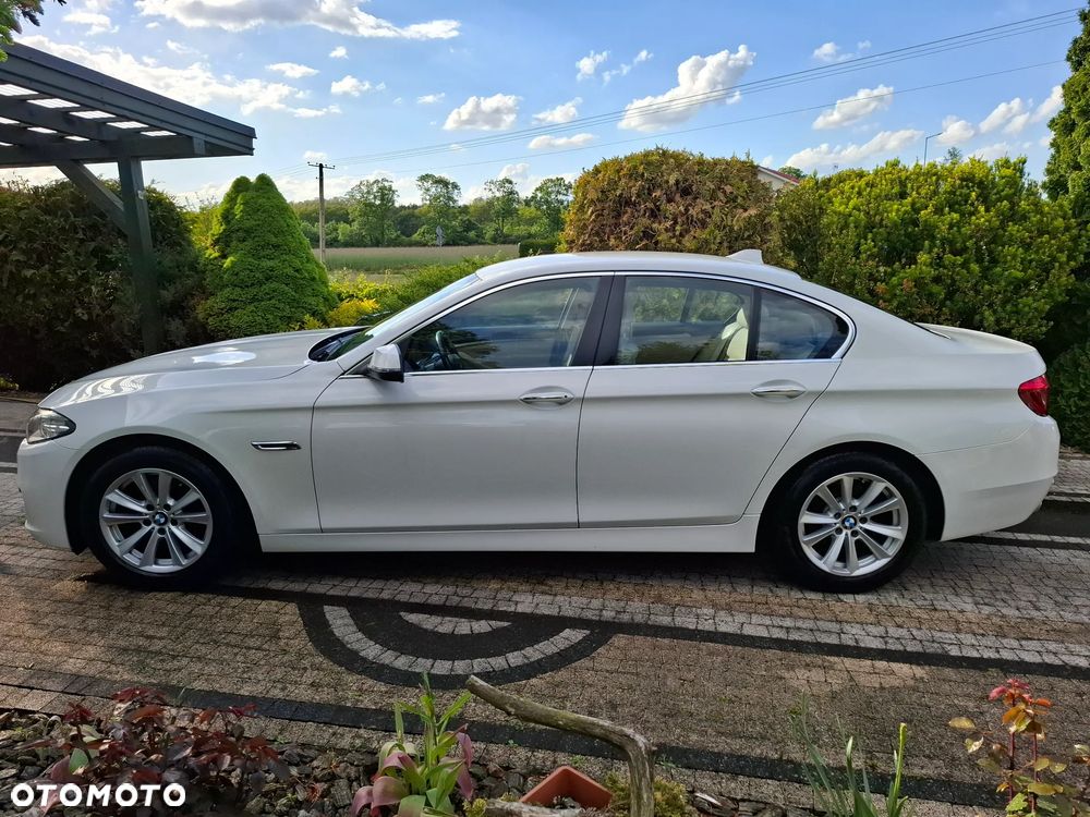 BMW Seria 5 518d Advantage - 8