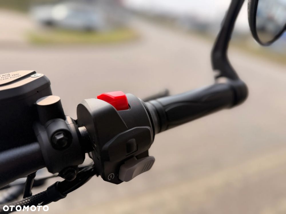 Benda Chinchilla 500 - 12