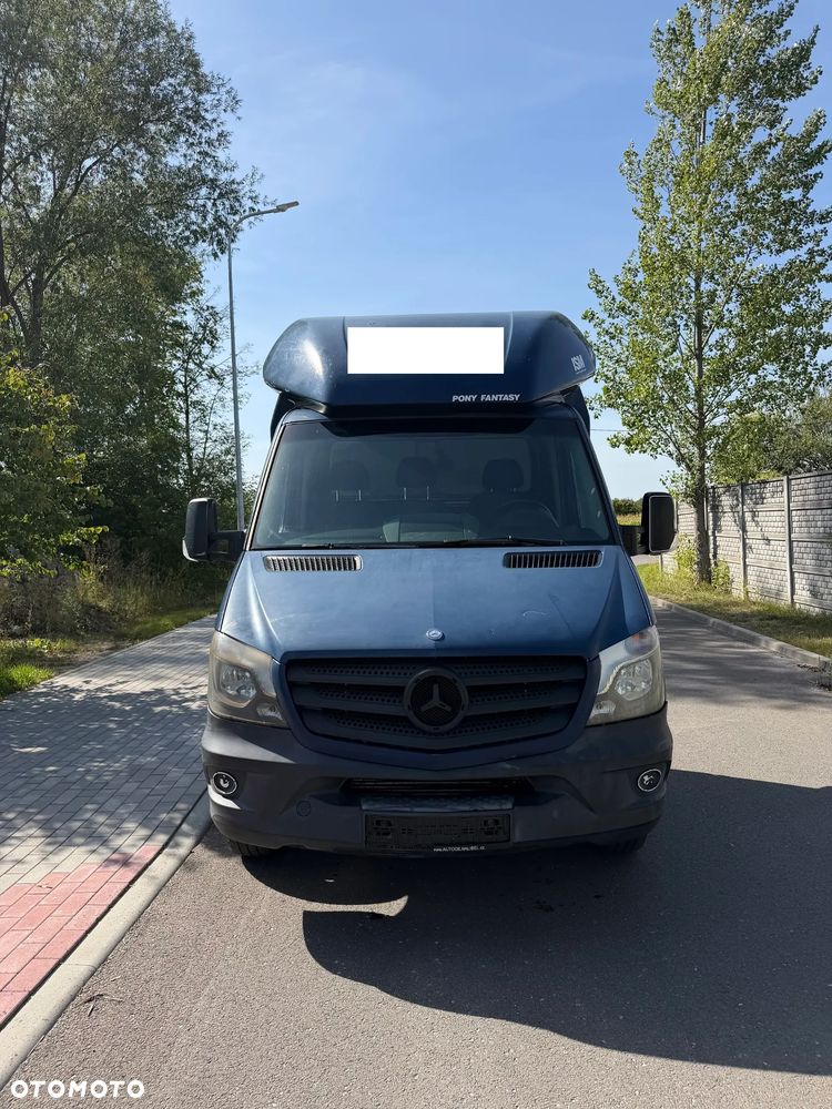 Mercedes-Benz Sprinter 513 CDI - 2