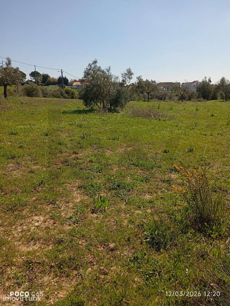 TERRENO PARA CONSTRUÇÃO - - Grande imagem: 3/6