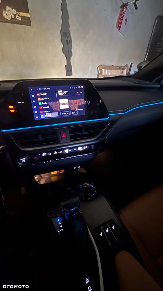 Lexus UX 250h GPF F Sport Design 2WD - 19