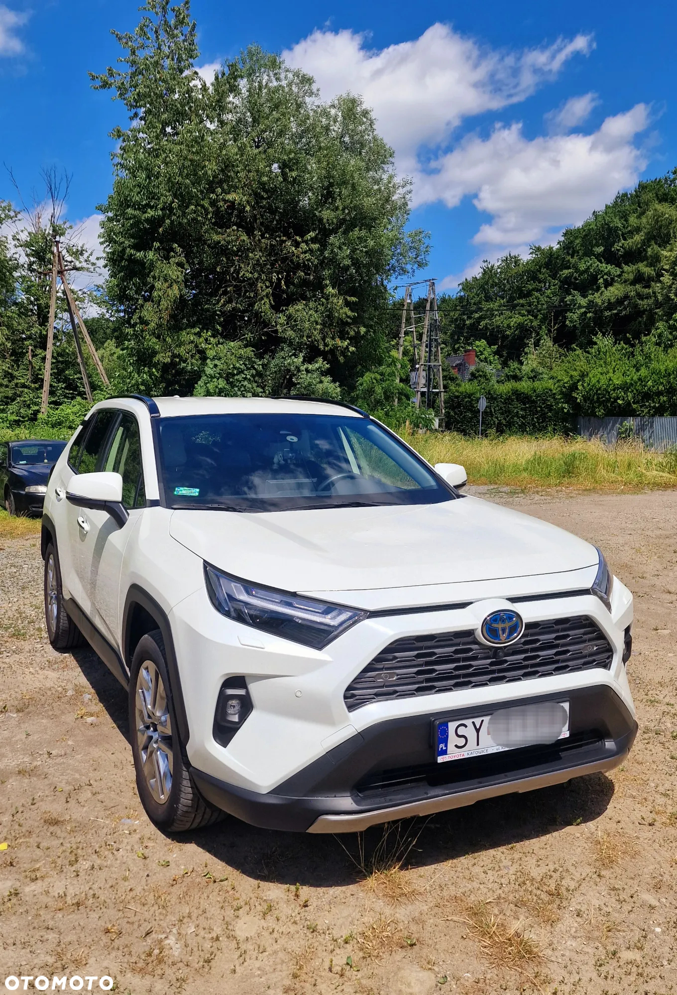 Toyota RAV4 2.5 Hybrid Executive 4x4 - 18