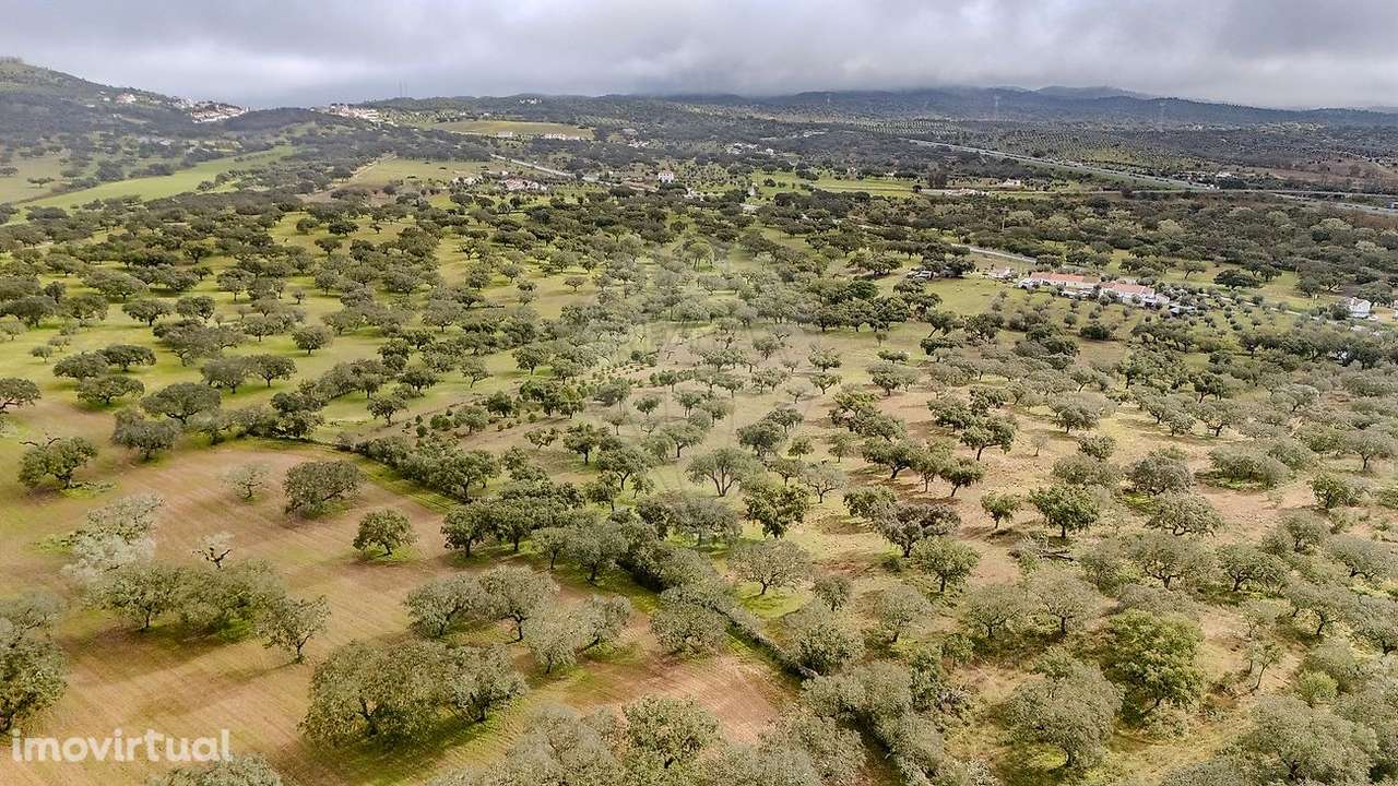 Quinta  para venda - Grande imagem: 4/17