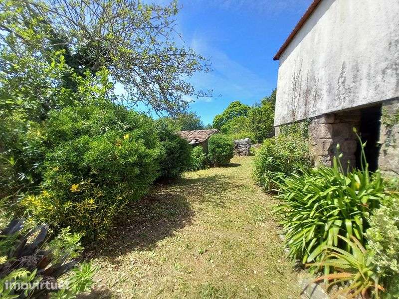 Casa de campo c/terreno - Grande imagem: 2/12