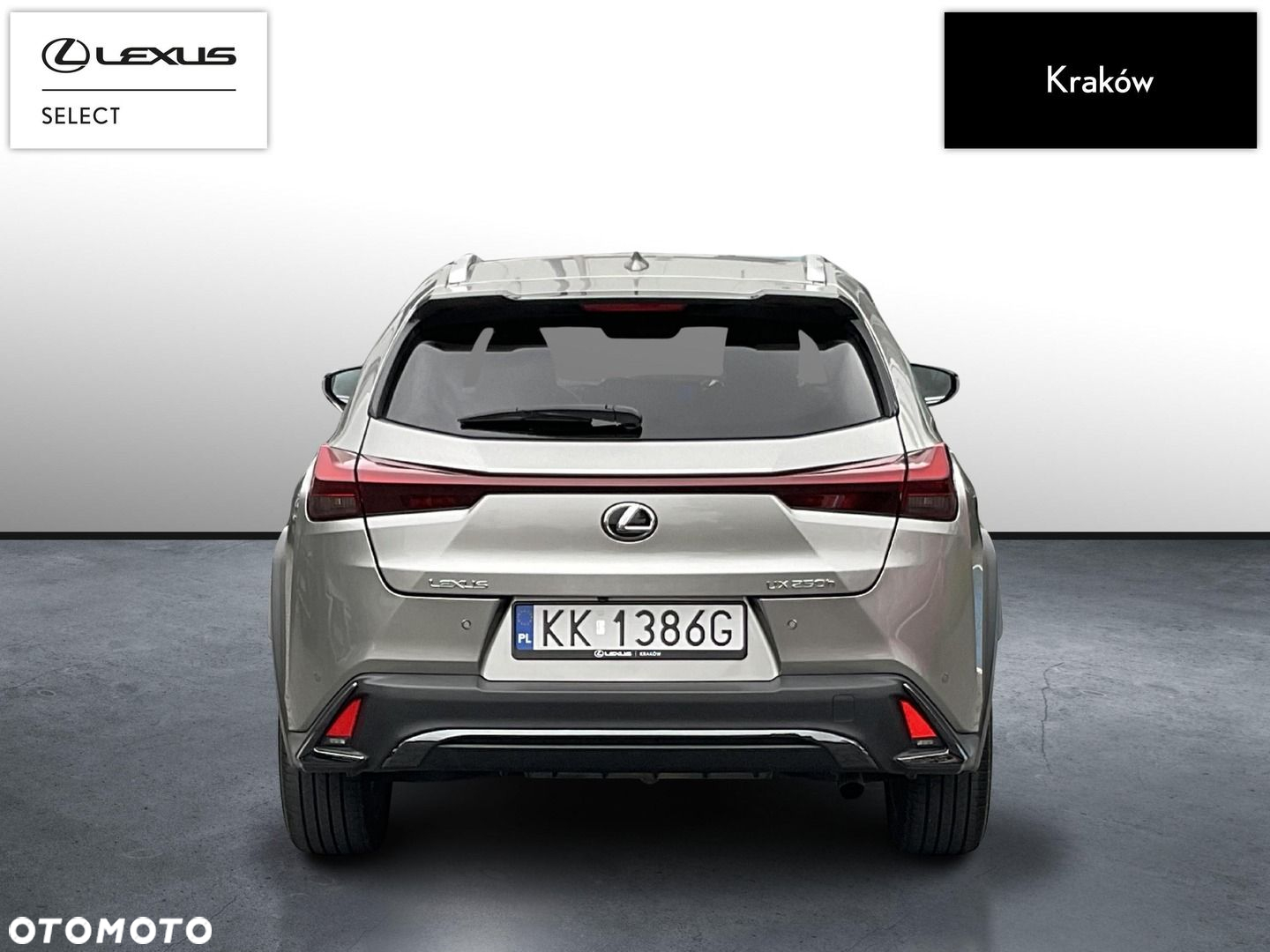 Lexus UX 250h GPF F Sport Design 2WD - 4