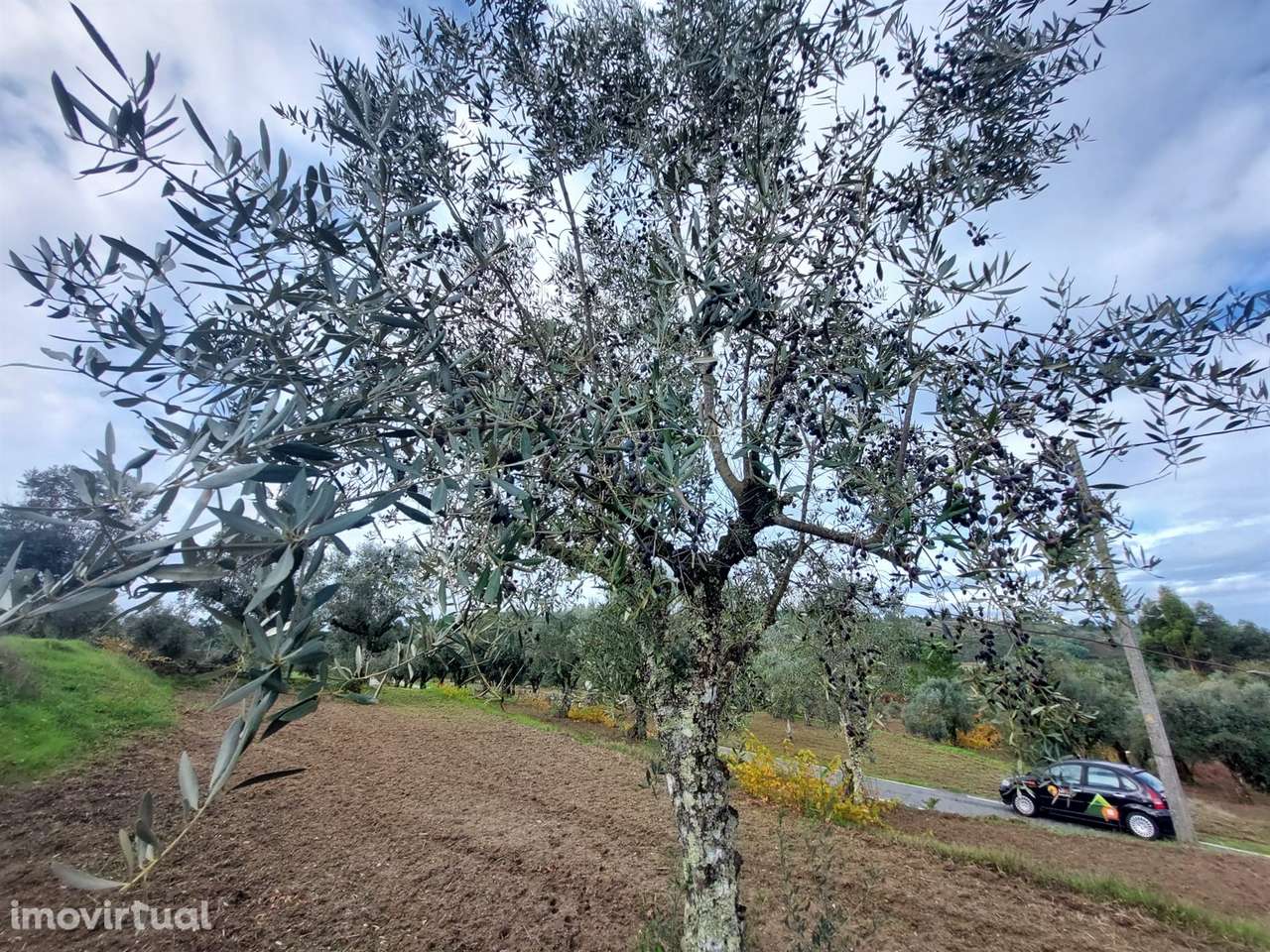 Terreno Rústico  Venda em Vila Nova de Tazem,Gouveia - Grande imagem: 5/11