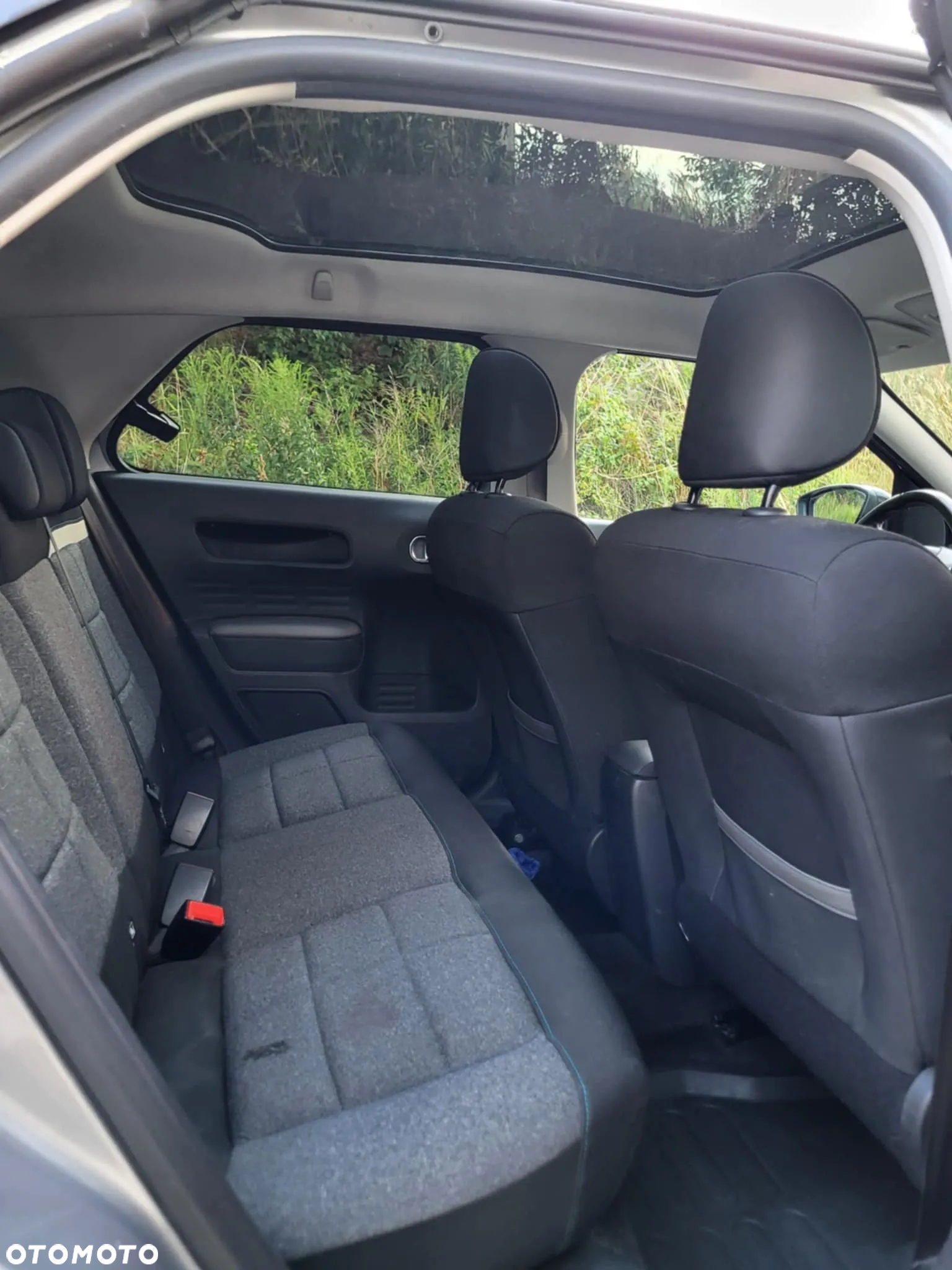 Citroën C4 Cactus - 10