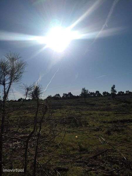 terreno rústico em alpiarça - Grande imagem: 3/6