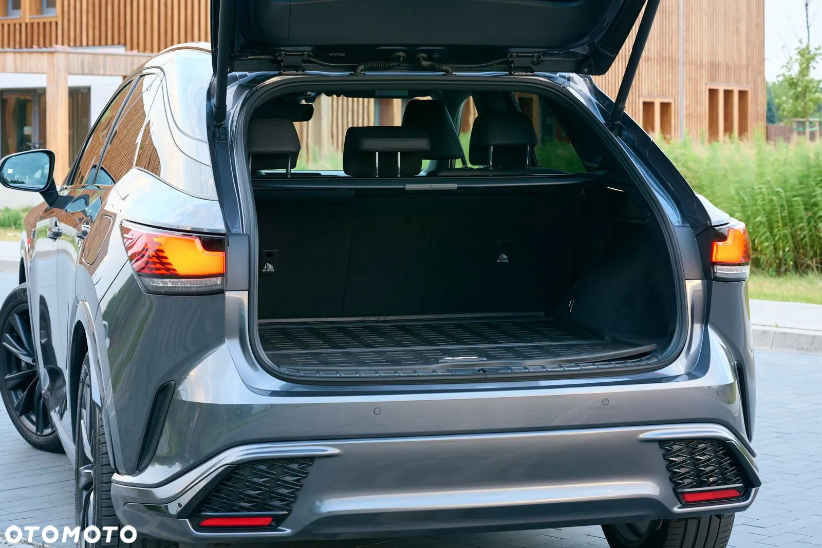 Lexus RX - 18