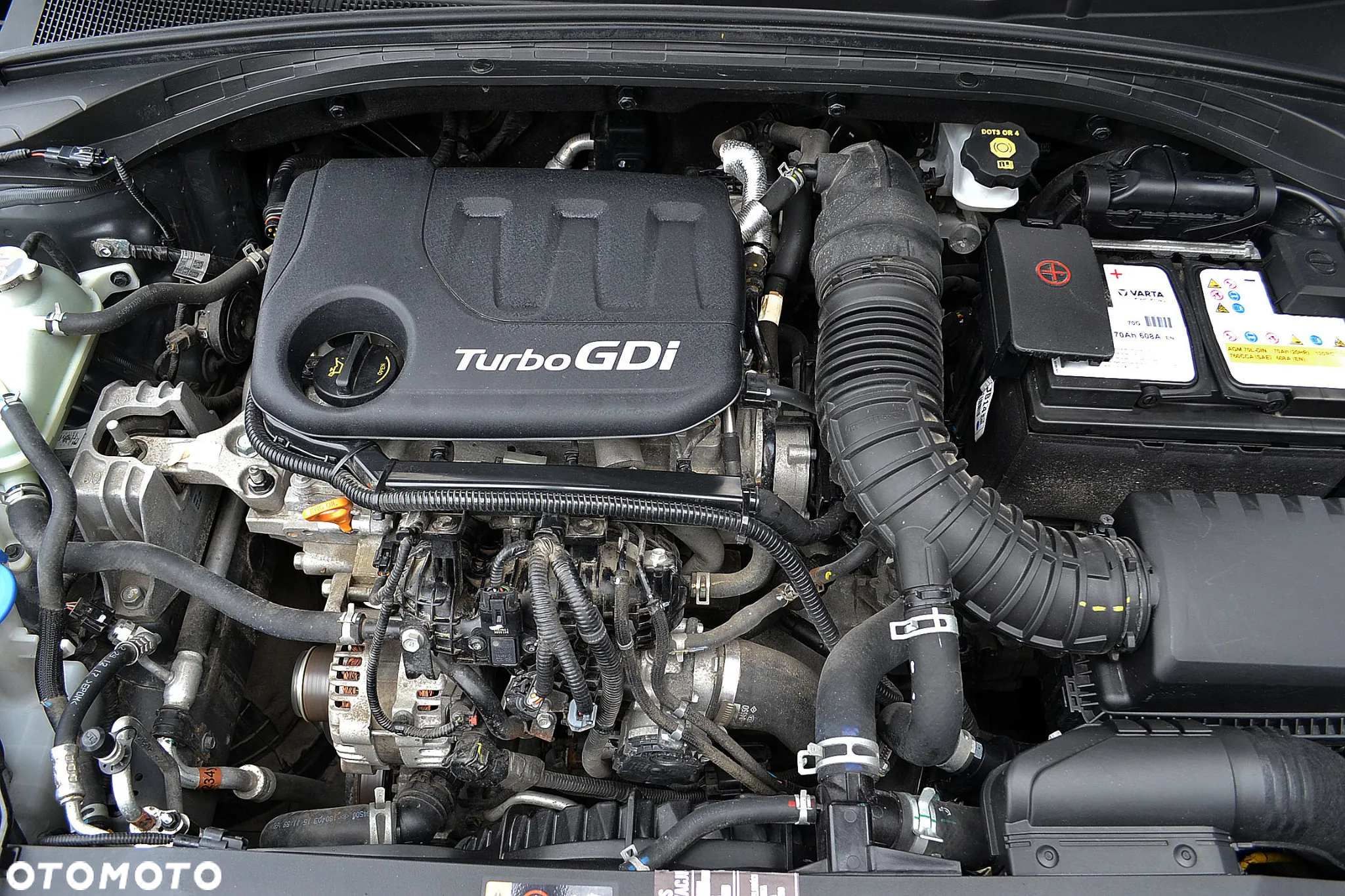 Kia Ceed 1.0 T-GDI 120 OPF Edition 7 - 22