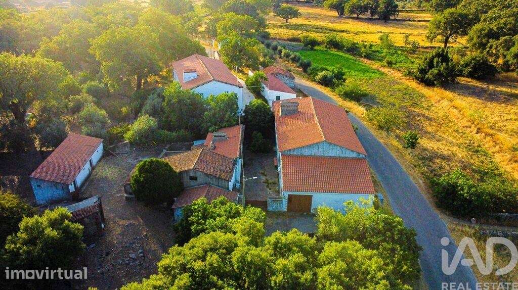 Quinta T3 em São Salvador da Aramenha de 375 m2 - Grande imagem: 4/40