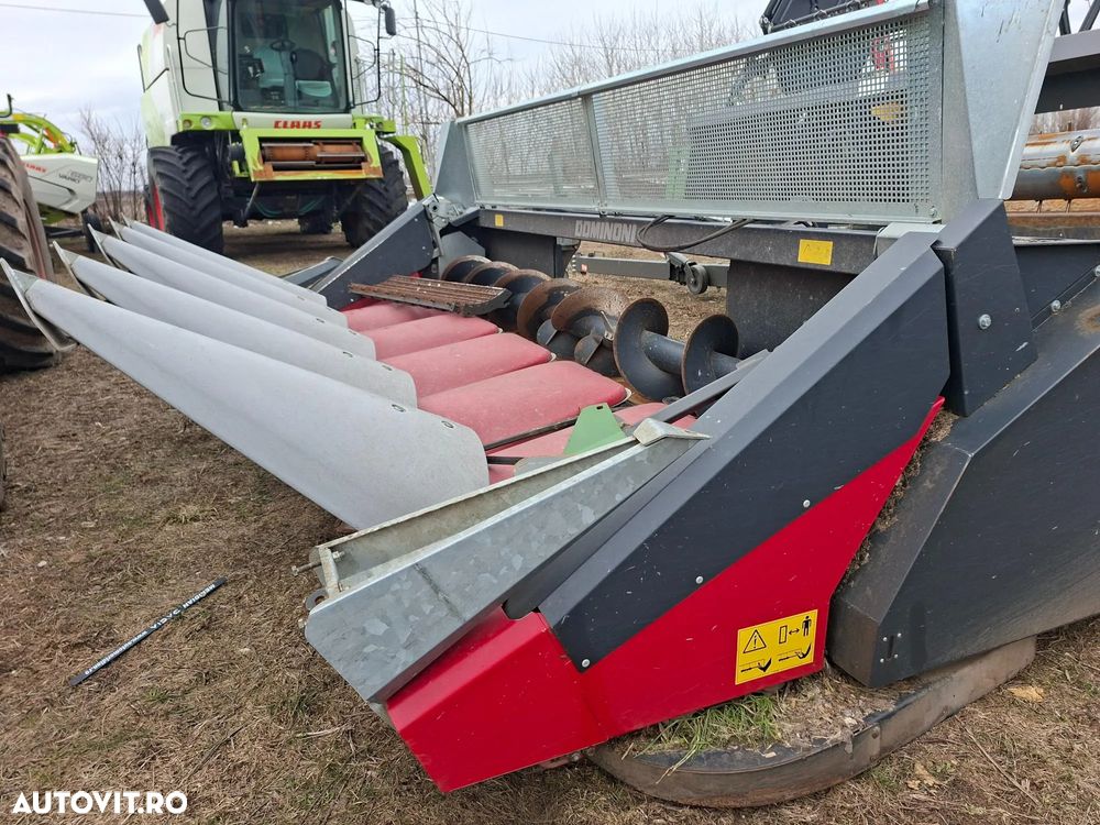 Dominoni KAIMAN S 976 B CULEGATOR DE PORUMB - 2