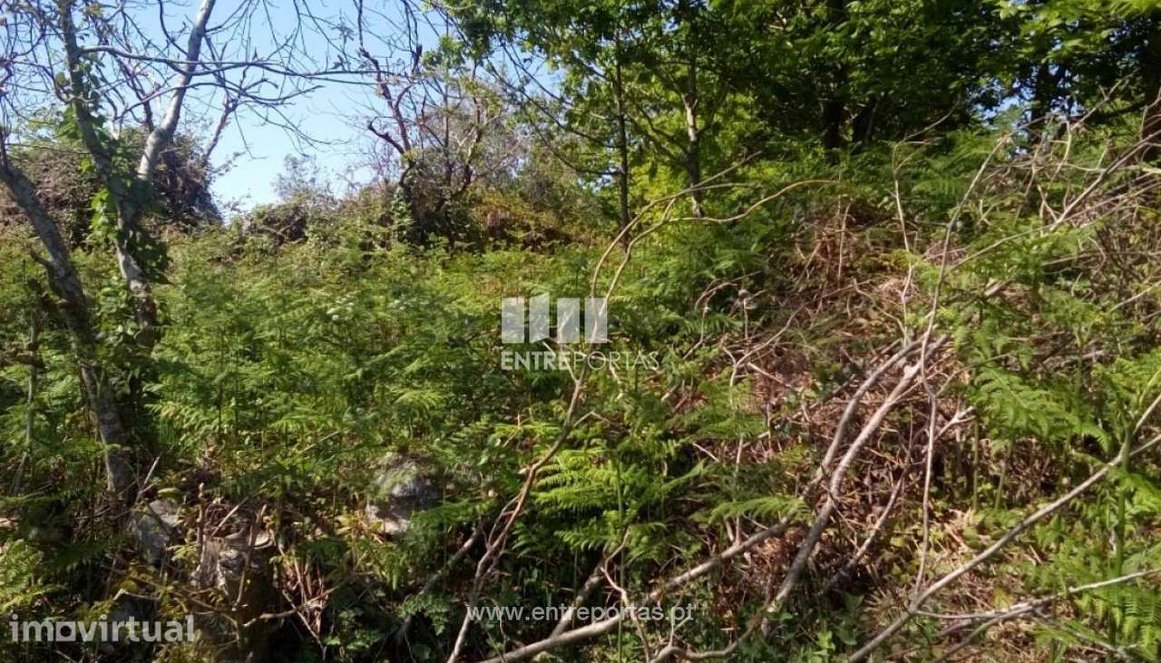 Venda de Terreno para construção, Afife, Viana do Castelo - Grande imagem: 4/30