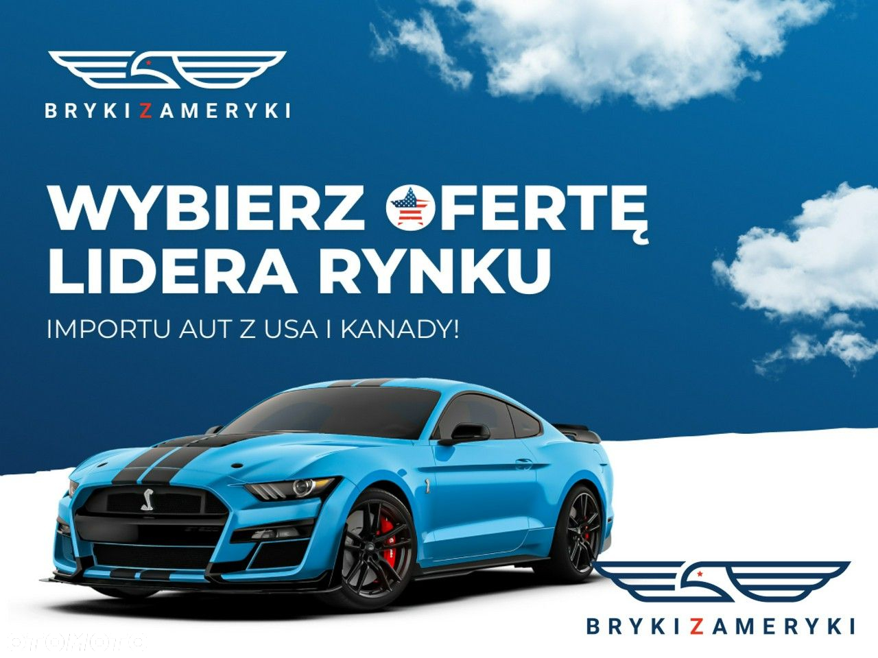 BMW Seria 3 - 2