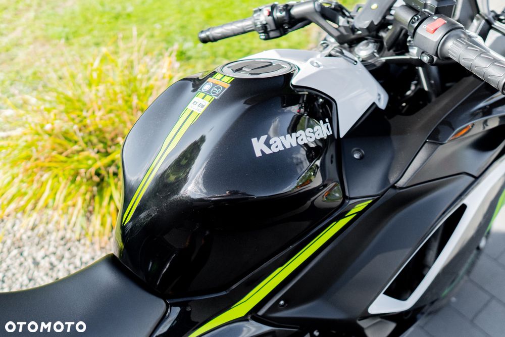 Kawasaki Ninja - 19