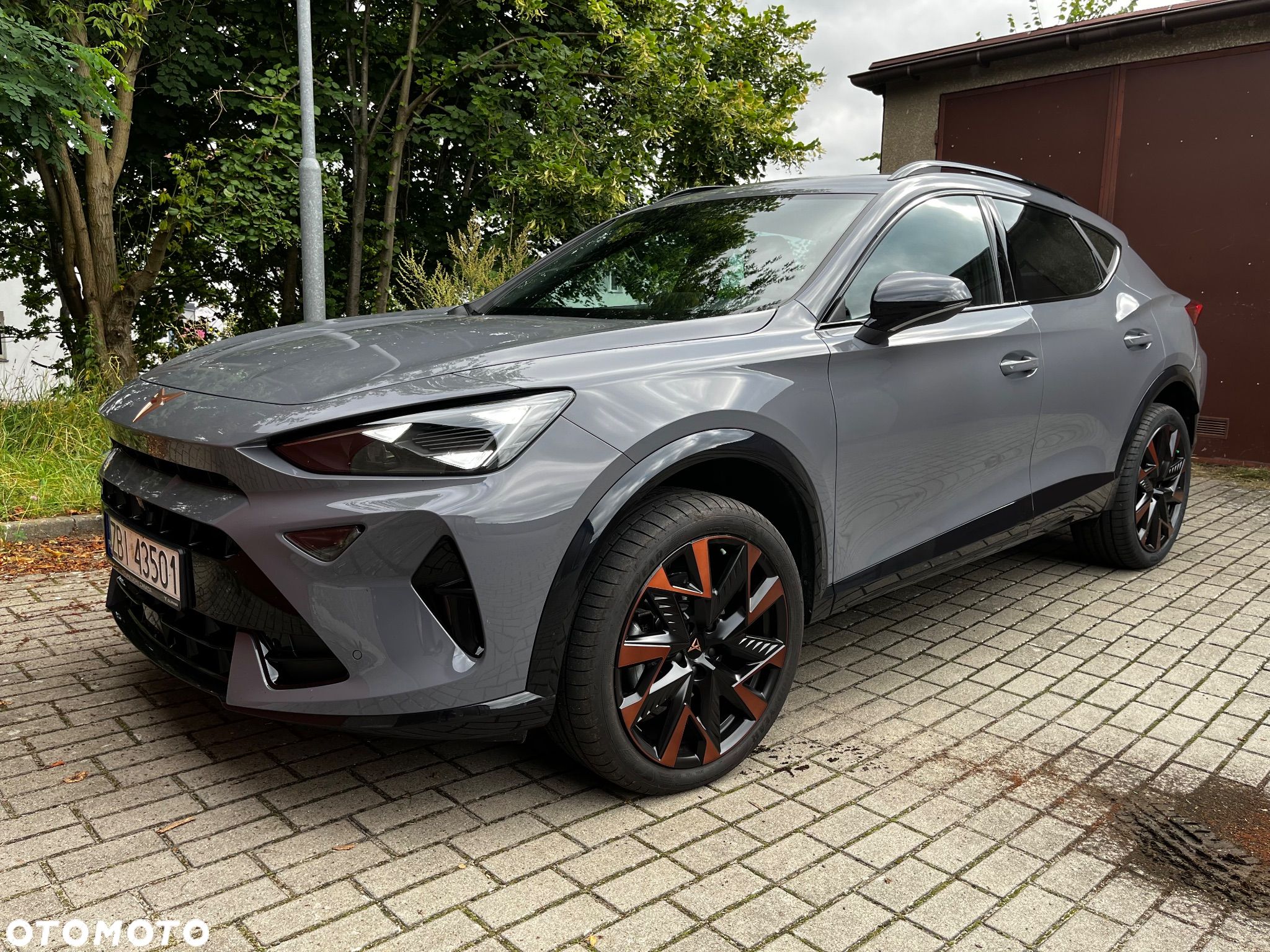 Cupra Formentor 2.0 TDI DSG - 1