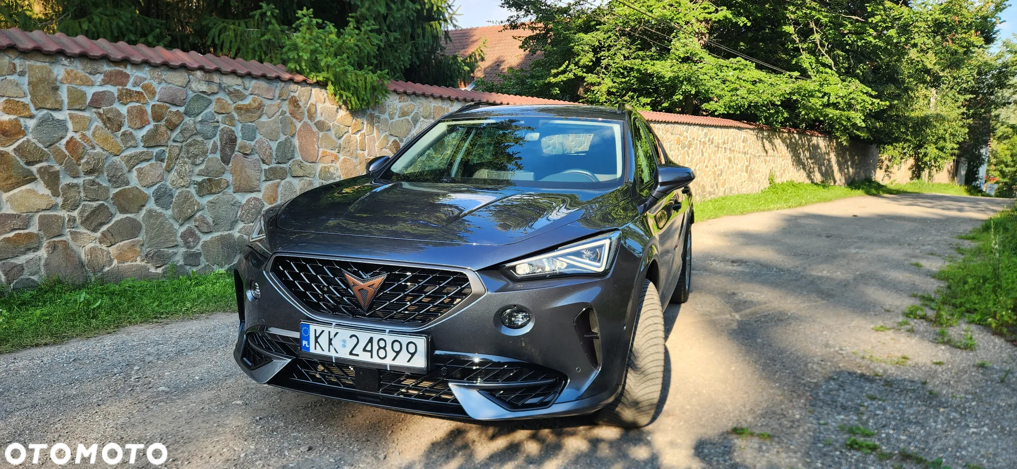 Cupra Formentor 2.0 TDI 4Drive DSG - 2