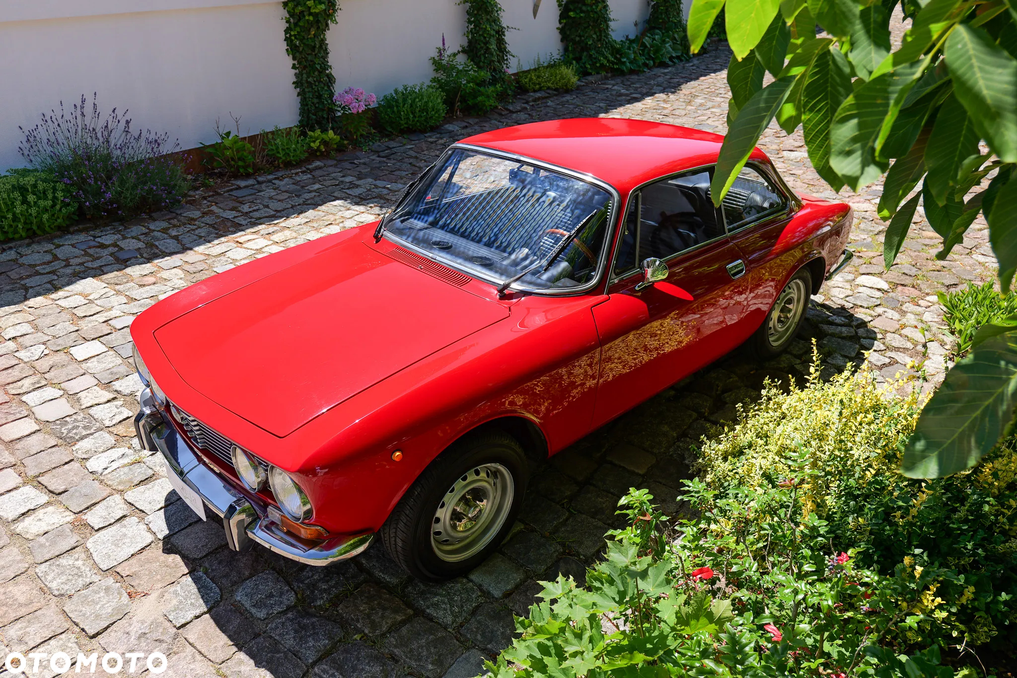 Alfa Romeo GT - 10