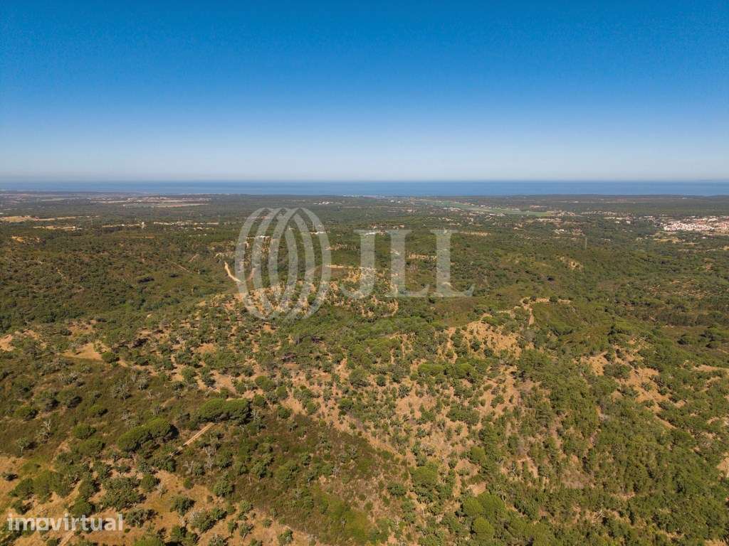 Terreno na Serra de Melides, litoral alentejano, em Melides - Grande imagem: 2/8