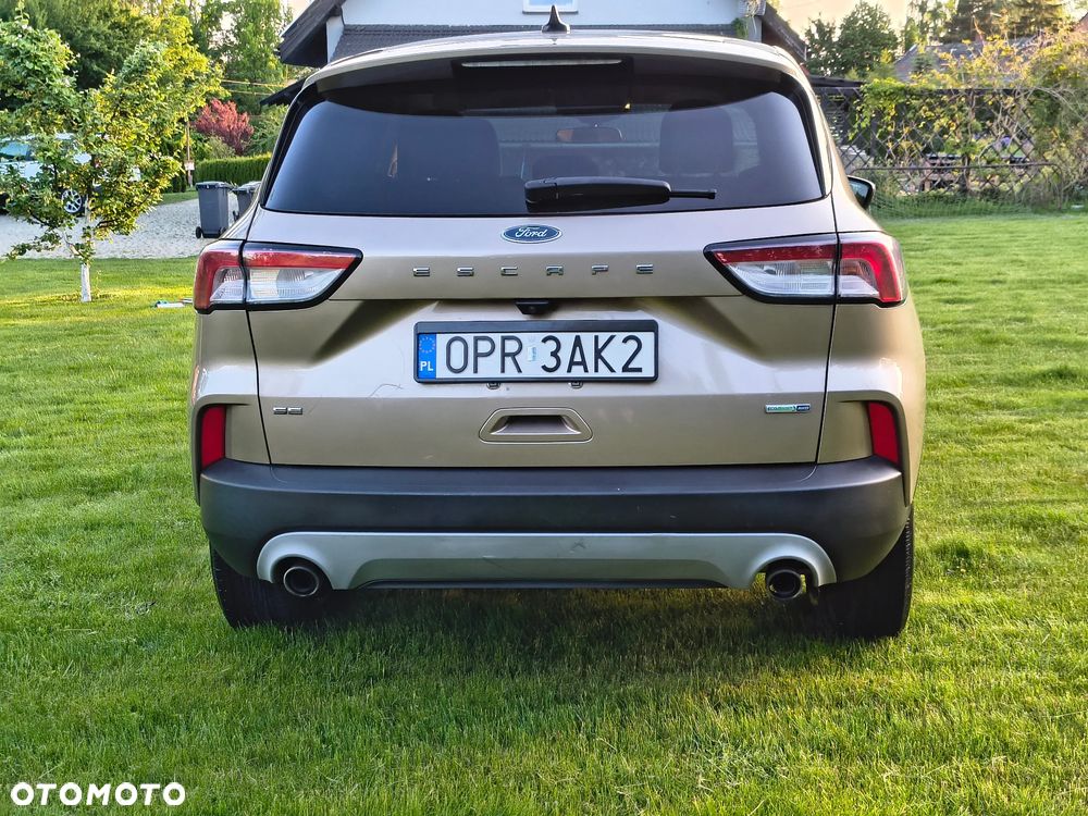 Ford Escape - 7