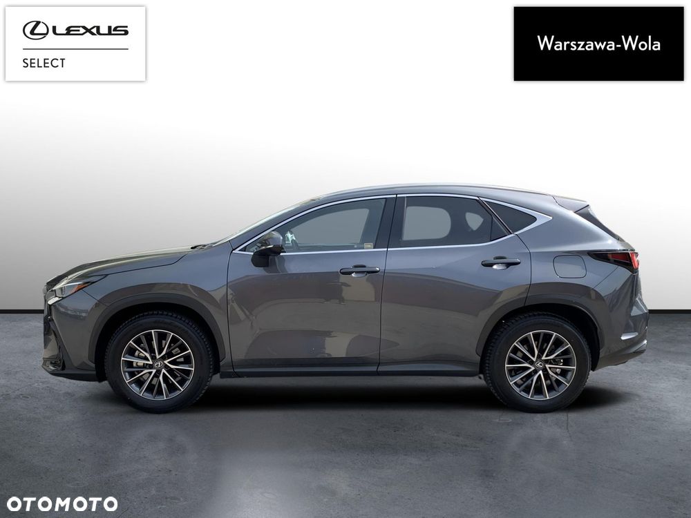 Lexus NX - 4