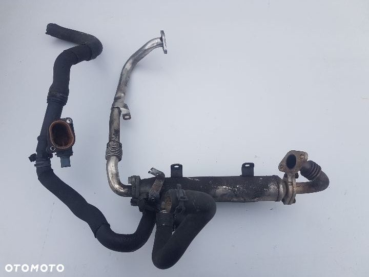 Chłodniczka spalin BMN 2.0TDI 170km 03G131512AE