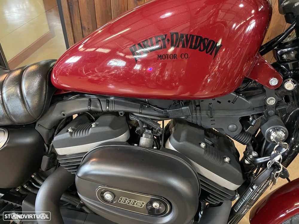 Harley-Davidson XL 883 Iron - 2