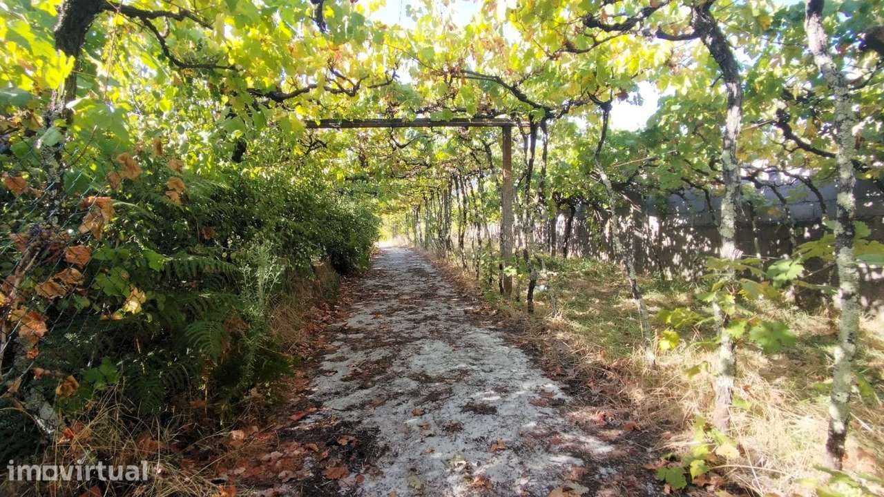 Quinta com Terreno de 2840 m2 e Vistas sobre o Rio Douro - Grande imagem: 5/39