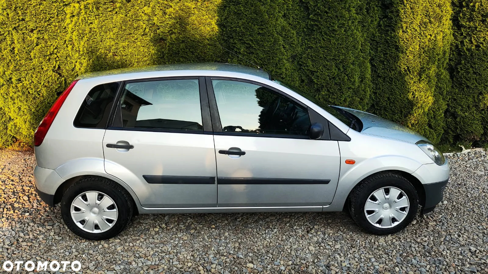 Ford Fiesta - 22